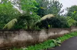    Residential Land for sale in Mukkattukara,Thrissur, Thrissur