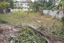    Residential Land for sale in Mukkattukara,Thrissur, Thrissur