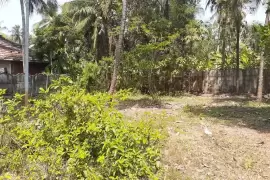    Residential Land for sale in Mukkattukara,Thrissur, Thrissur