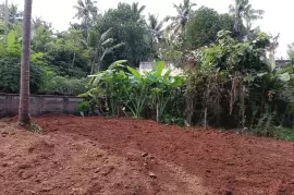 Residential land For sale in Chiyyaram Thrissur, Thrissur