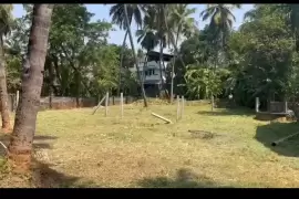 Residential land for sale in kanattukara near kerala varma college., Thrissur