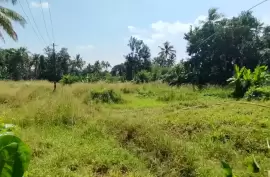  Commerical Land for sale in Viyyur,Near main road,Thrissur., Thrissur, Cheroor, 110 Cent