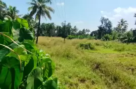  Commerical Land for sale in Viyyur,Near main road,Thrissur., Thrissur, Cheroor, 110 Cent