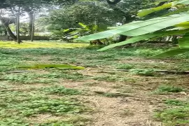 Residential Land for sale in Punkunnam Near harisree school,Thrissur, Thrissur