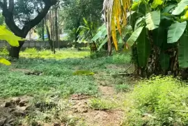 Residential Land for sale in Punkunnam Near harisree school,Thrissur, Thrissur