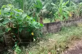  Residential Land for sale in Thiroor, Kolazhy,Thrissur., Thrissur