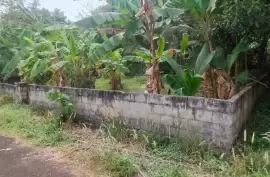  Residential Land for sale in Thiroor, Kolazhy,Thrissur., Thrissur