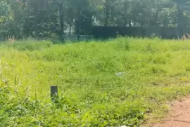 Plots 7 to 14 cent for sale in Nellikunnu Center,Main road,Thrissur, Thrissur